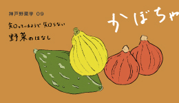 神戸野菜学vol.9 かぼちゃ