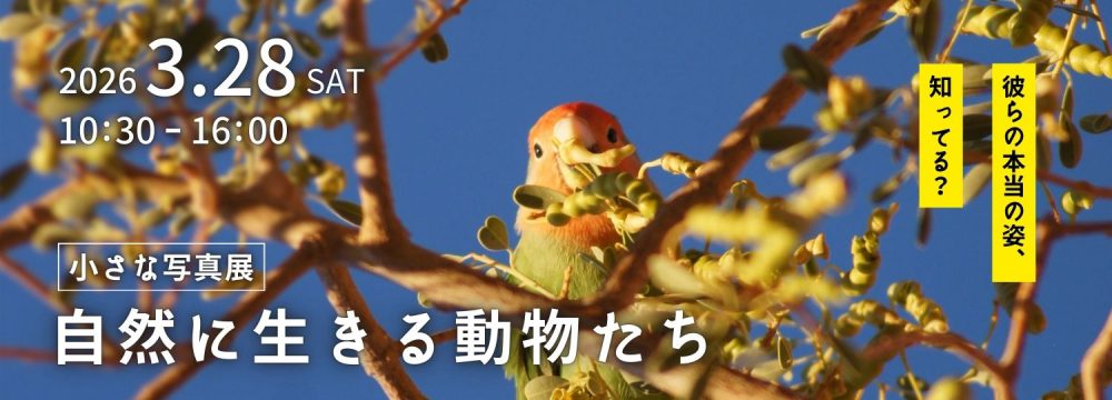 小さな写真展「自然に生きる動物たち」