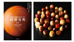 『原色　木材加工面がわかる樹種事典　第3版』 刊行記念セミナー　　　　　　　　　　　　　　　　　　　　　木材同定のエキスパートの挽物木工家が語る、「各種木材の特徴と見極め方の極意」